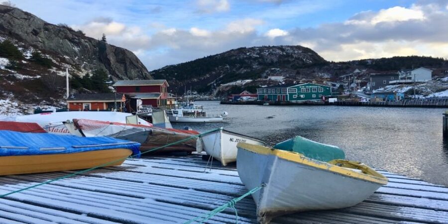 St Johns Premium Tour with Iceberg Quest Boat Cruise - Is $169 good value?