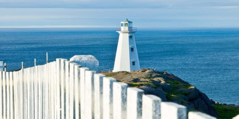 St Johns Premium Tour with Iceberg Quest Boat Cruise - Who will enjoy this tour most?