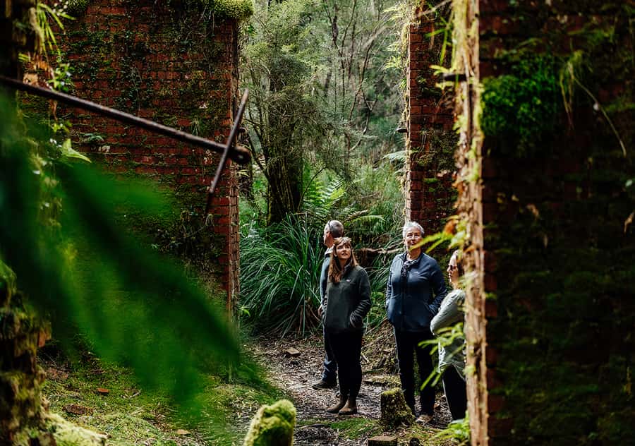 Strahan: The Pillinger Explorer Exclusive Cruise - Pillinger’s ruins and the rainforest reclaiming them