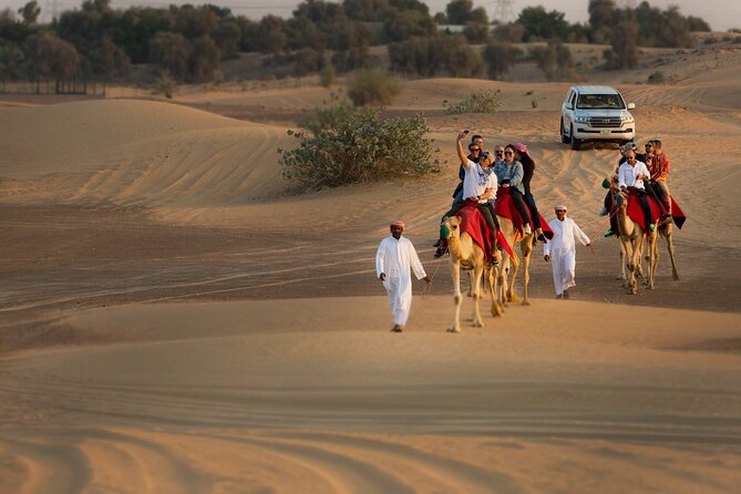 Sunset Camel Trekking with Falcon Show & VIP BBQ Dinner - The Bedouin-style camp and its evening program