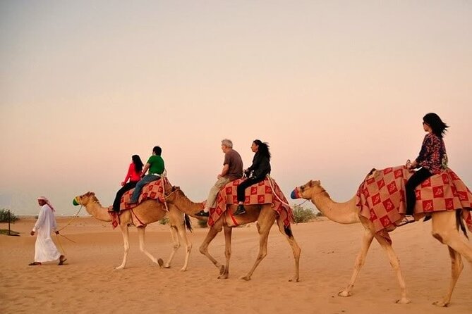 Sunset Desert Safari | Premium BBQ Dinner | Red Sand Dune - BBQ, buffet dishes, and what the $69.78 covers