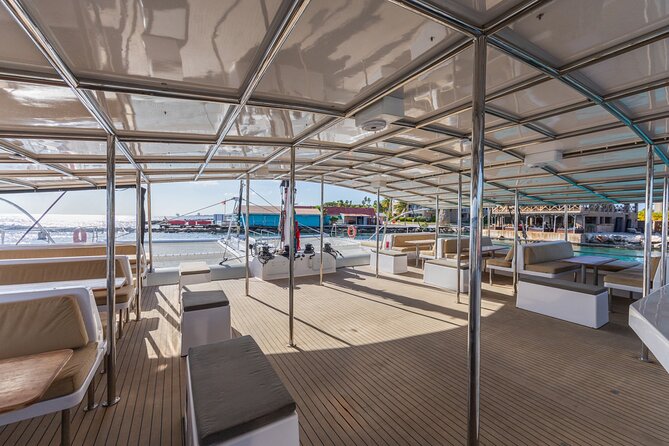 Sunset Sailing Cruise with premium drinks and bites - Is it really a sailing cruise?