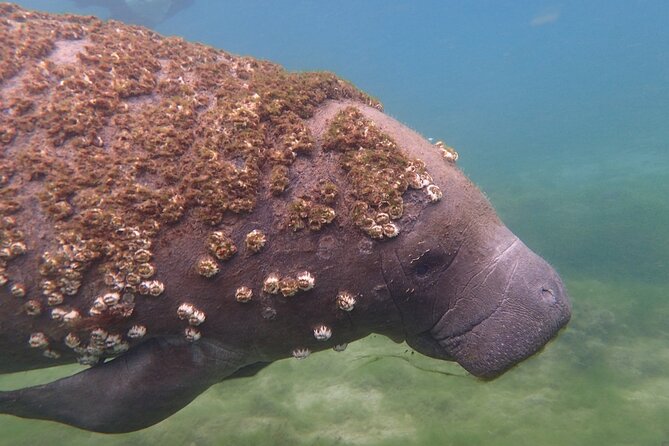 Swim with Manatees: Eco-Educational Tour in Crystal River - Getting ready at Crystal River Watersports
