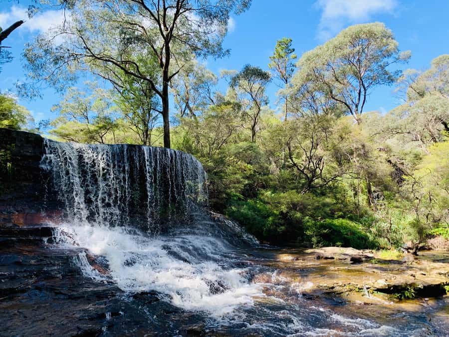 Sydney: Luxury Blue Mountains Adventure with Wentworth Falls - Walking through Wentworth Falls country