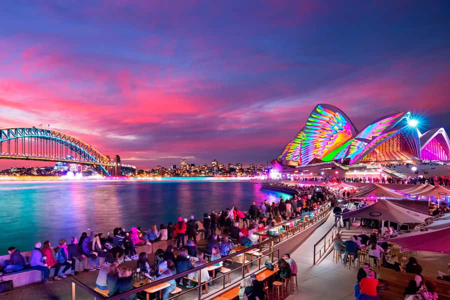 Sydney: Premium Catamaran Vivid Cruise with Welcome Drink - Boarding at King Street Wharf