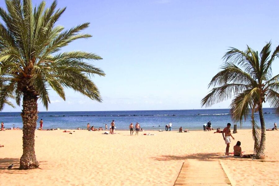 Tenerife: Anaga UNESCO VIP TOUR - Santa Cruz Before the Mountains