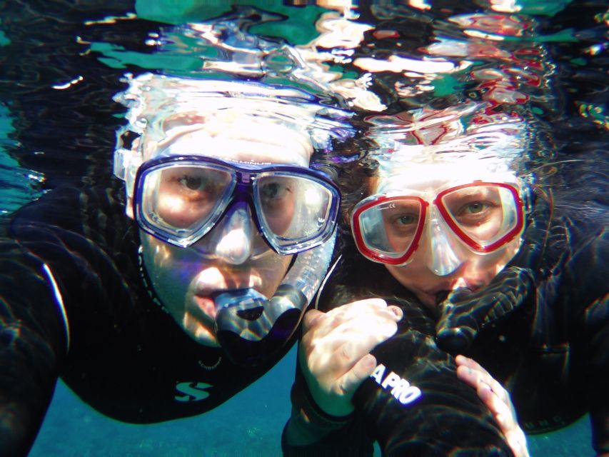 Tenerife Exclusive Snorkeling Trip with Marine Biologist - Getting comfortable with the snorkeling gear