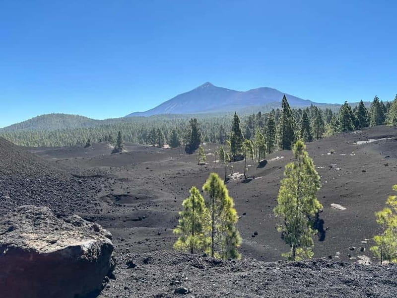Tenerife: premium e-bike ride at Chineyro volcanic area - Key points at a glance