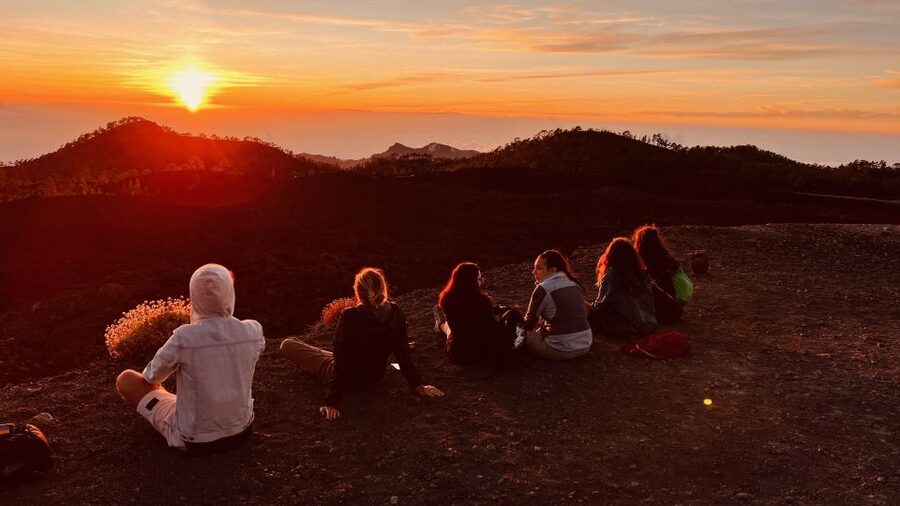 Tenerife: Private VIP Tour Teide National Park - Key points to know before you book