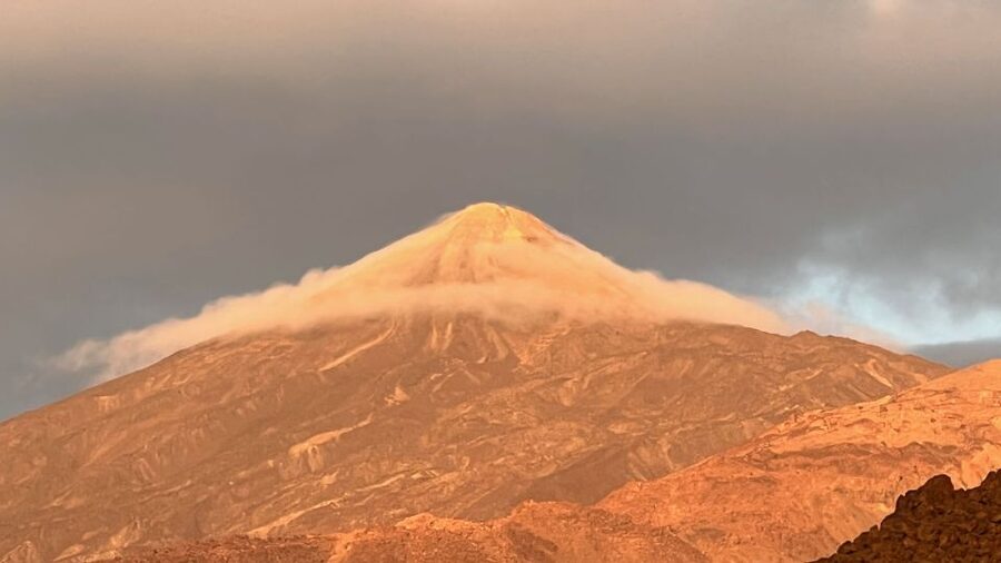 Tenerife: Private VIP Tour Teide National Park - Pino Gordo and the Canary Island pine forest
