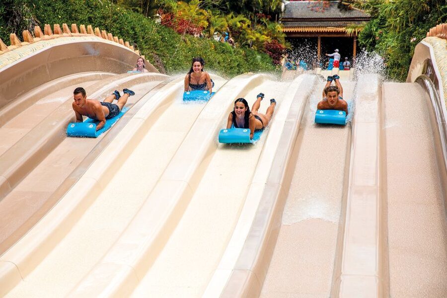 Tenerife: Siam Park Premium Full-Day Experience - Why the fast pass changes the day