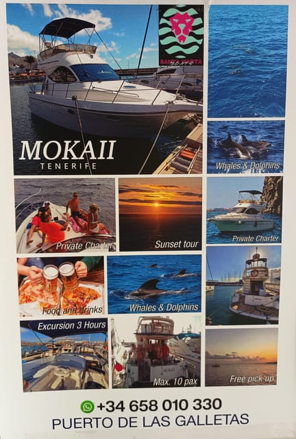 Tenerife south: safari with luxury boat , animals encounters - Leaving Las Galletas by van