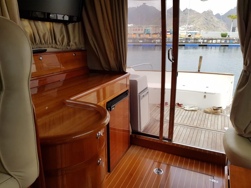 Tenerife south: safari with luxury boat , animals encounters - Snacks, drinks, and the relaxed return