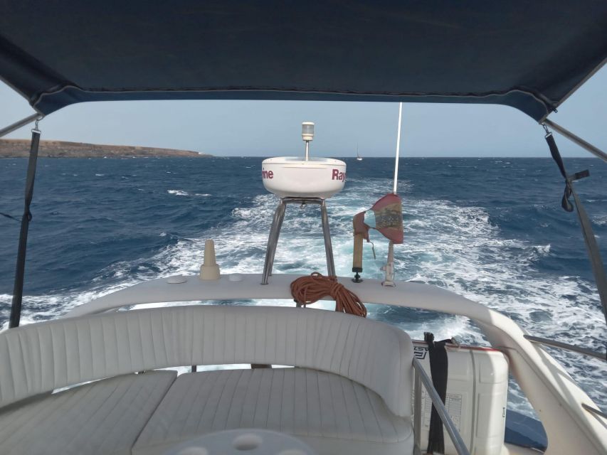 Tenerife south: safari with luxury boat , animals encounters - How the $73 price measures up