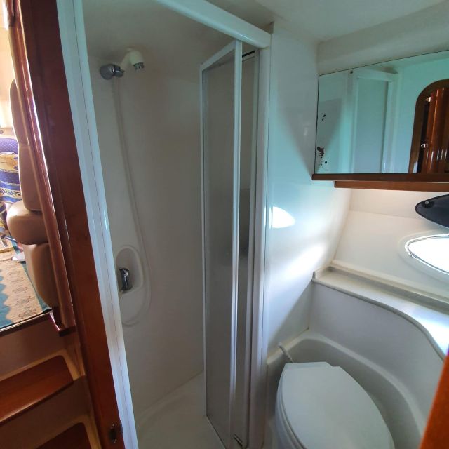 Tenerife south: safari with luxury boat , animals encounters - Who will enjoy this boat trip most
