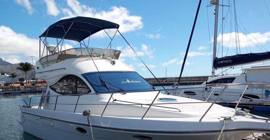 Tenerife south: safari with luxury boat , animals encounters - The two-story boat and where to sit