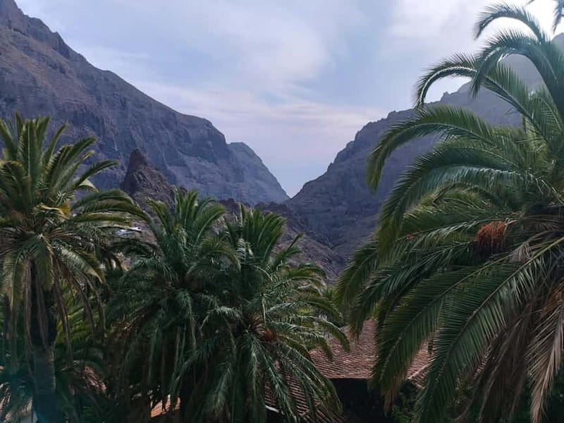 Tenerife: Teide, Masca, Garachico, and Sunset Exclusive Tour - What the $112 price buys you