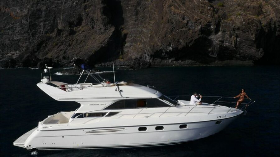 Tenerife: Whales and Snorkeling Tour on a Luxury Yacht - Quick points before you book