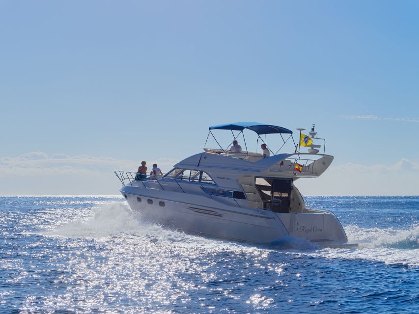 Tenerife: Whales and Snorkeling Tour on a Luxury Yacht - The sheltered bay swim and snorkeling stop