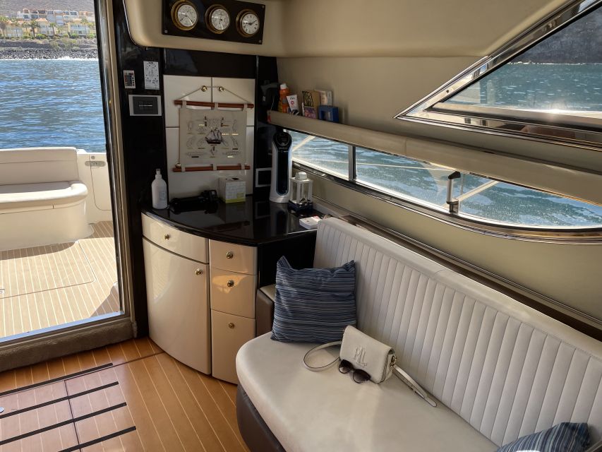 Tenerife: Whales and Snorkeling Tour on a Luxury Yacht - Is $101 good value?