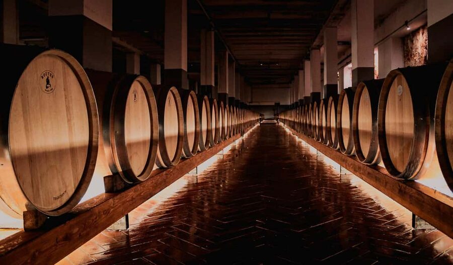Tenute Girolamo: Winery tour and Premium Tasting in the Itria Valley - A winery visit in the heart of the Itria Valley