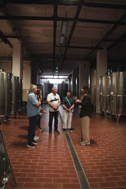 Tenute Girolamo: Winery tour and Premium Tasting in the Itria Valley - How the food changes the wine