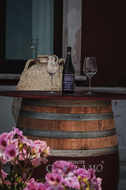 Tenute Girolamo: Winery tour and Premium Tasting in the Itria Valley - Who will enjoy this most