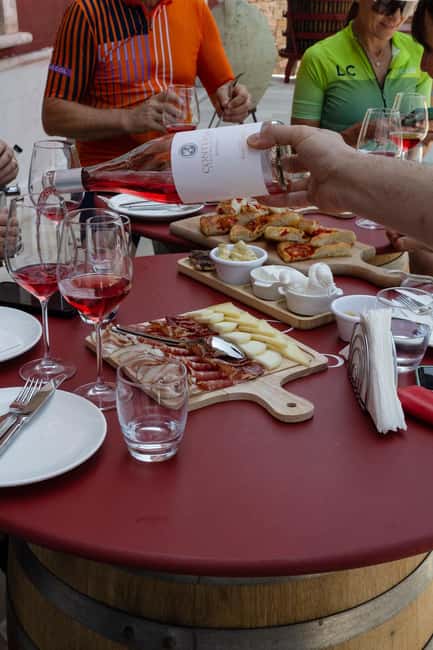 Tenute Girolamo: Winery tour and Premium Tasting in the Itria Valley - The first 30 minutes: from grapes to cellar