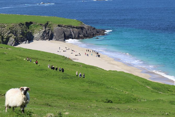 The Great Blasket Island Experience - Premium Tour - Why the small boat matters