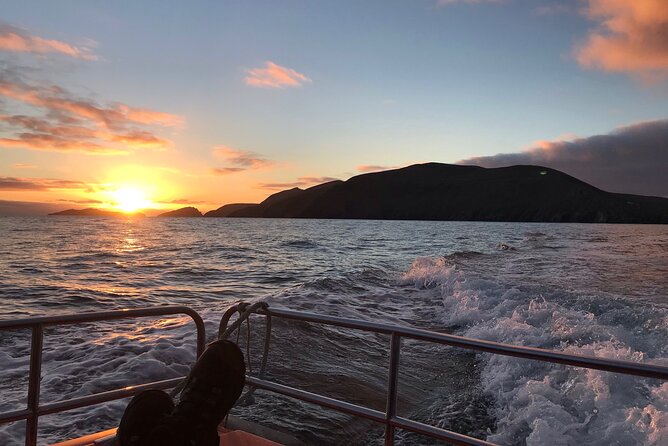 The Great Blasket Island Experience - Premium Tour - The return route is part of the tour