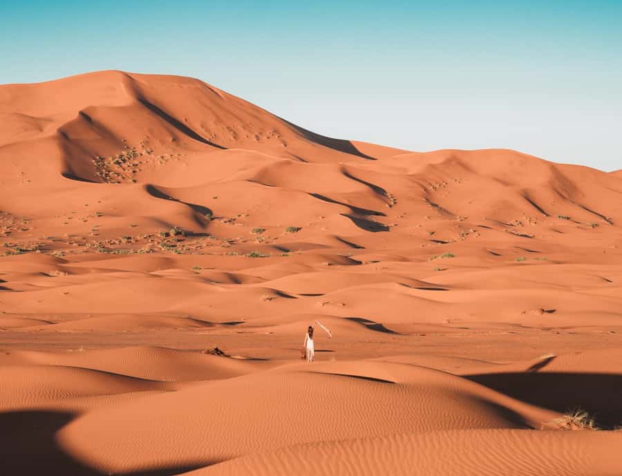 the luxury 2days 1night desert tour from fez to fez/marakech - Key points to know before booking