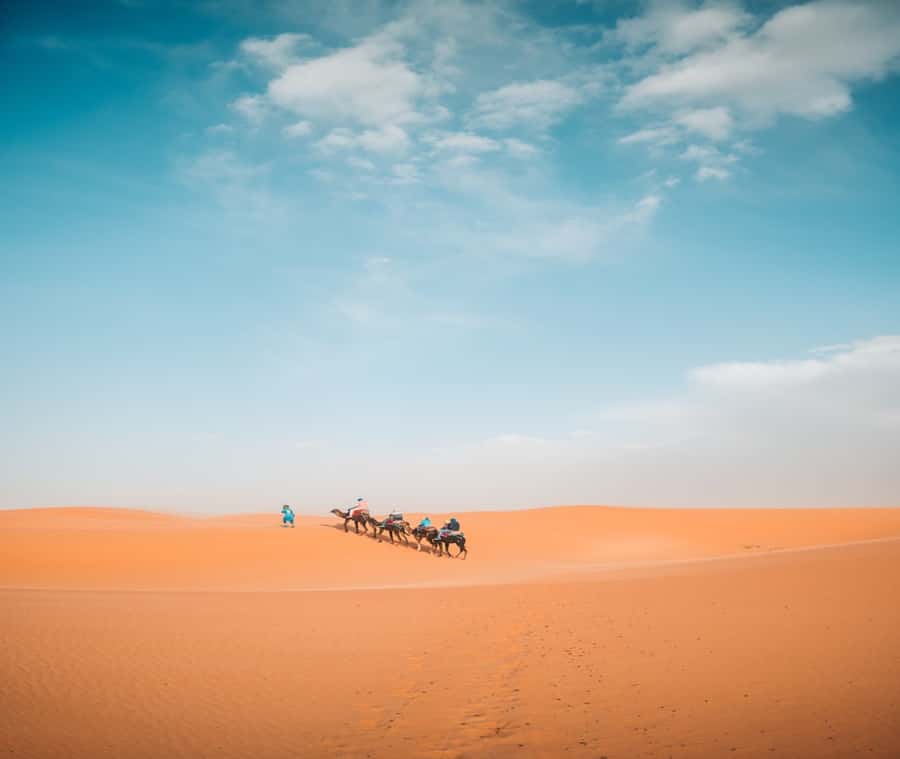 the luxury 2days 1night desert tour from fez to fez/marakech - From Fez to the Atlas Mountains