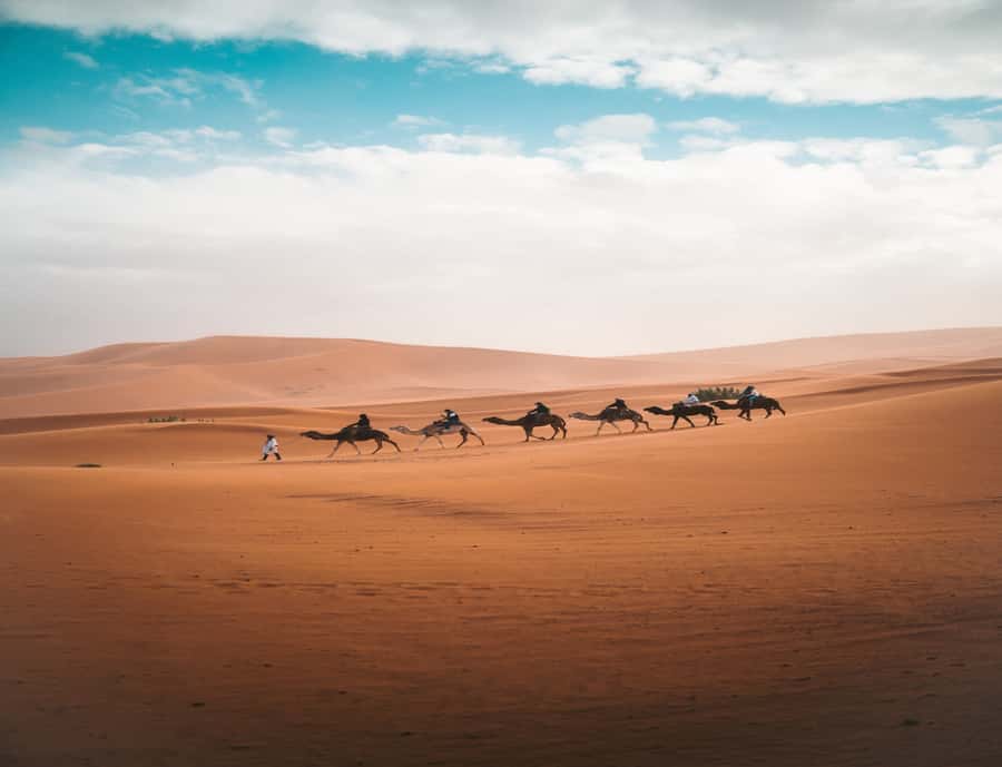 the luxury 2days 1night desert tour from fez to fez/marakech - How to prepare for the two days