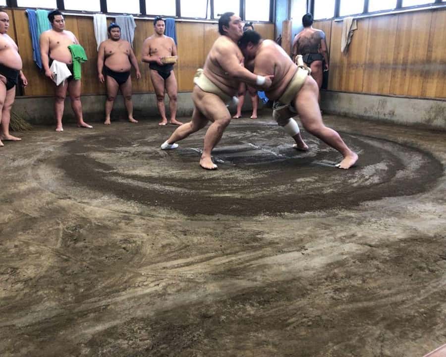 Tokyo: Exclusive Access to Sumo Morning Practice with Photos - Why this morning practice feels different from a sumo match