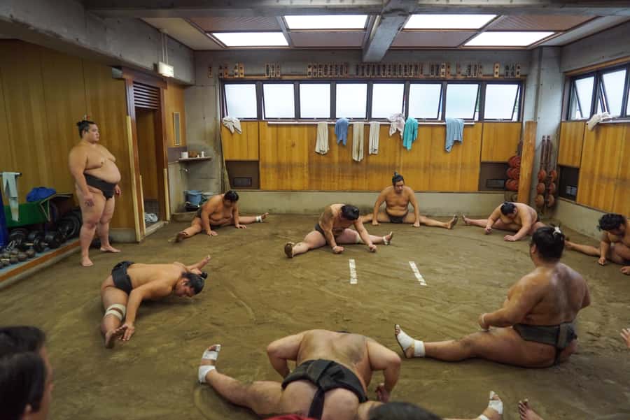 Tokyo: Exclusive Access to Sumo Morning Practice with Photos - Practical ways to prepare for the morning