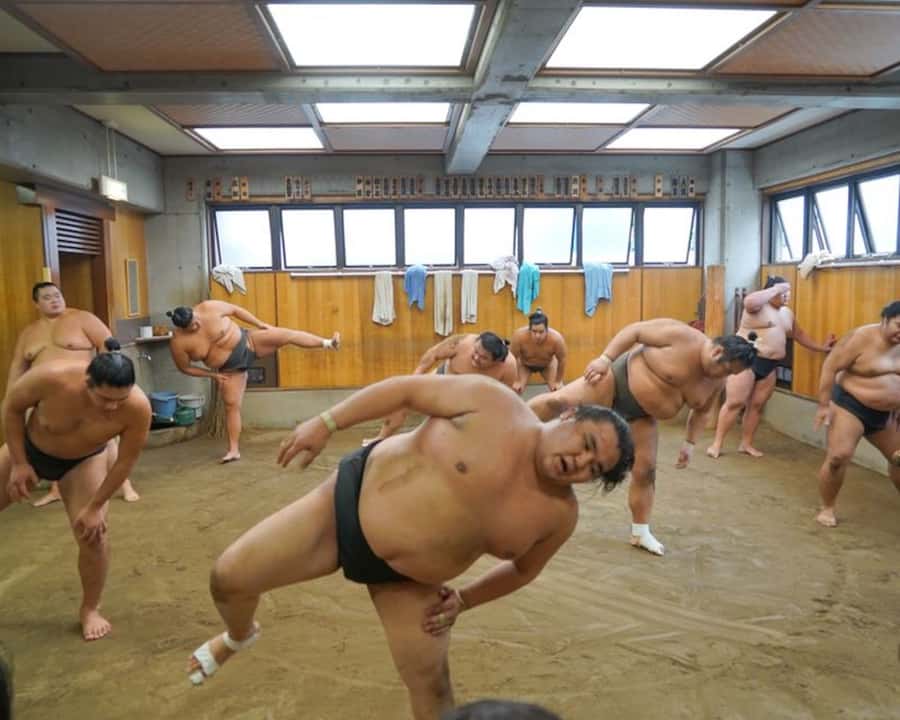 Tokyo: Exclusive Access to Sumo Morning Practice with Photos - Meeting at Oshiage Station beneath Tokyo Skytree