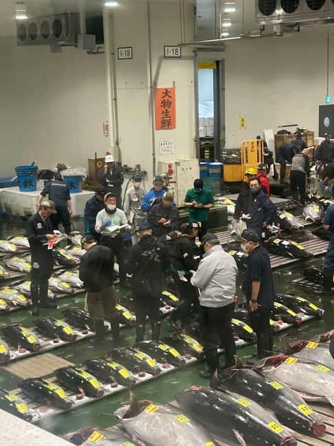 Tokyo Toyosu Tuna Auction + Breakfast (Sushi Dai or Bentomi) - Is $141 good value?