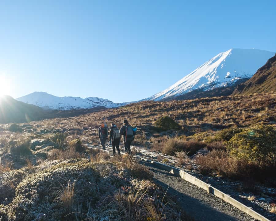 Tongariro Alpine Crossing: Premium Guided Hike - The eight-hour walk, step by step