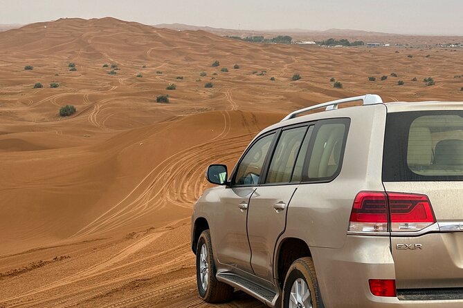 Top premium Desert safari with BBQ DINNER - Camel riding, henna, and shisha at camp