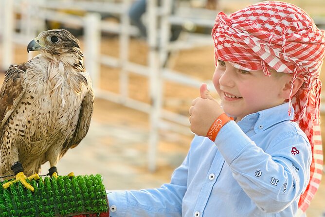 Top premium Desert safari with BBQ DINNER - BBQ dinner and the evening program