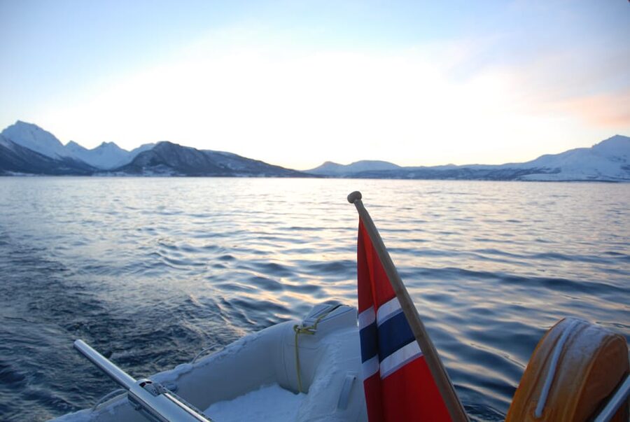 Tromsø: Fjord and Islands Luxury Catamaran Cruise - Should you book the Arctic Princess?