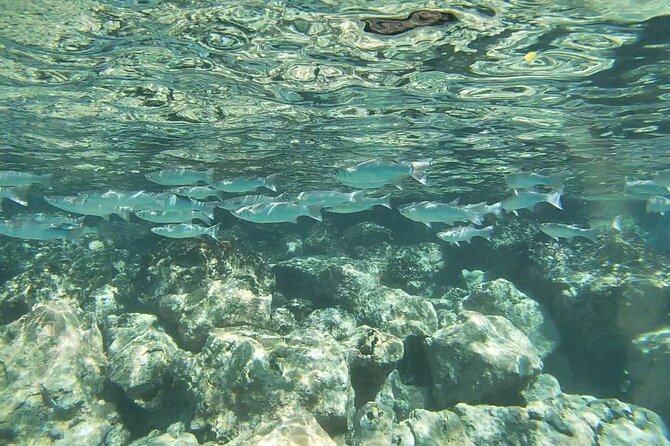Two Reef Snorkel Trip-See Captain Cook Monument & Sea Caves - What the small boat changes
