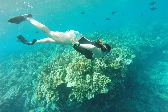 Two Reef Snorkel Trip-See Captain Cook Monument & Sea Caves - Snacks, equipment, and the five-hour rhythm