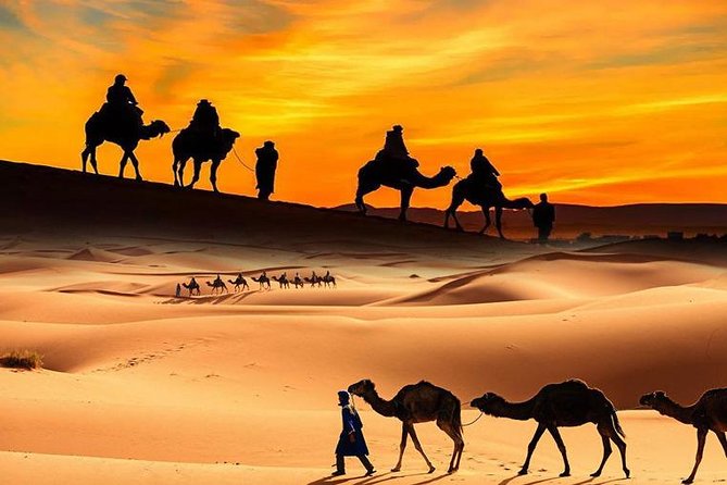 Ultimate 4x4 Desert Safari Dubai with Exclusive Services - Is $98 a fair price?