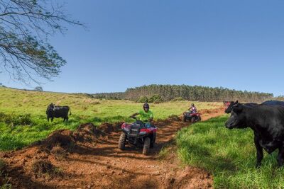 Umauma Falls Deluxe ATV Waterfall and Swim Experience