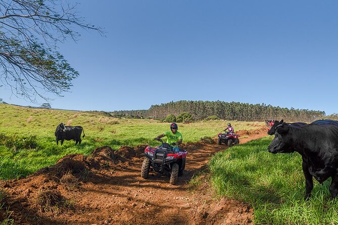 Umauma Falls Deluxe ATV Waterfall and Swim Experience - The practice track makes first-time driving easier