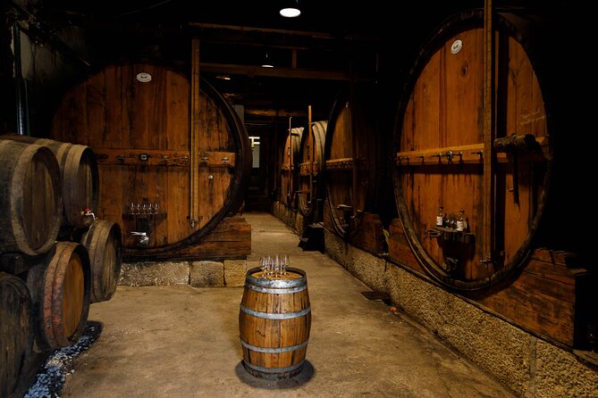VALE DOURO, Premium Wine Tour, Wine Lunch, Private Boat - Two wineries, two different views of Douro wine