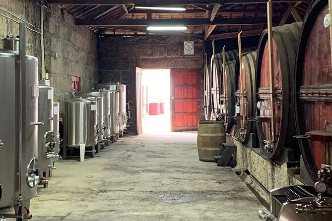 VALE DOURO, Premium Wine Tour, Wine Lunch, Private Boat - The N222 and Douro viewpoints