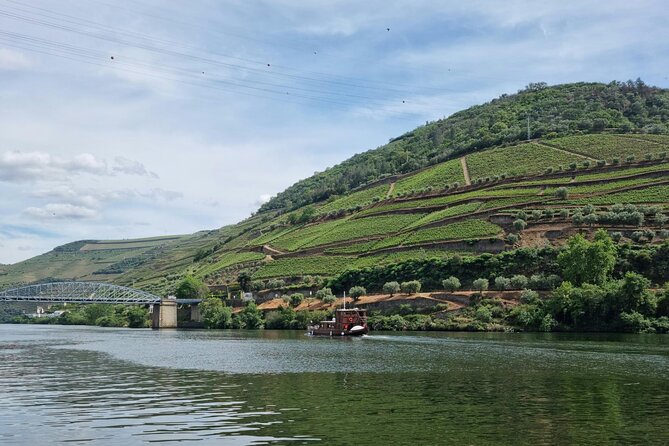 VALE DOURO, Premium Wine Tour, Wine Lunch, Private Boat - Guides make or break a long day