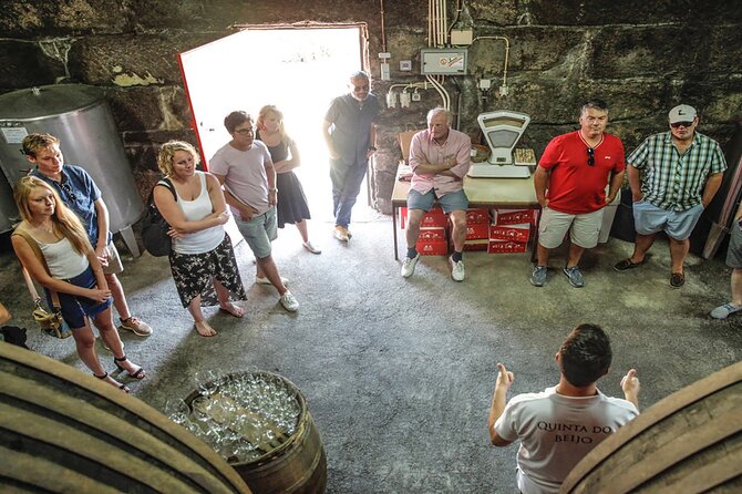 VALE DOURO, Premium Wine Tour, Wine Lunch, Private Boat - Is $163.33 good value?